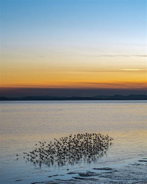 Harmony In Nature 2017 Photograph by Anka Wong - Fine Art America