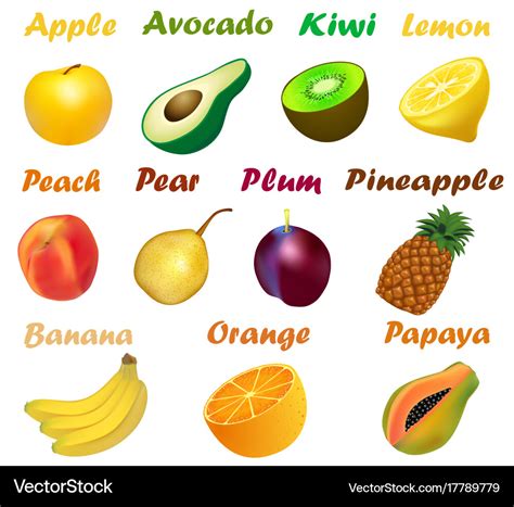 A set of fruits with names on a white background Vector Image