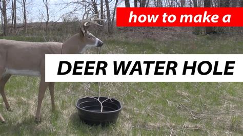 Deer Water Hole - DIY - YouTube