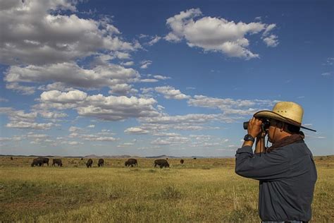 Visit The Durham Bison Ranch, Wyoming [VIDEO]