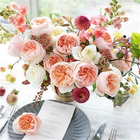 Juliet - David Austin Wedding and Event Roses