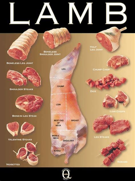 Lamb Cuts Of Meat Chart