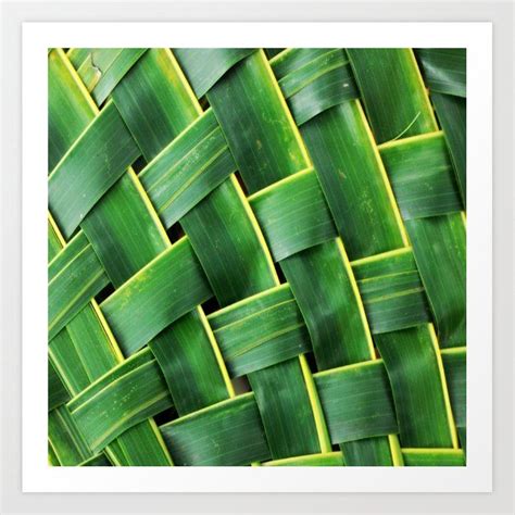 Buy COCONUT LEAF Art Print by redginger. Worldwide shipping available ...