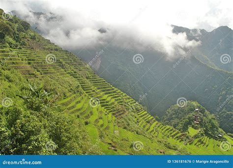 Batad Rice Terraces stock photo. Image of ancient, nature - 136181676