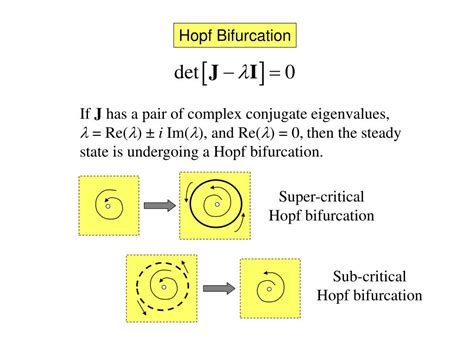 PPT - A Primer in Bifurcation Theory for Computational Cell Biologists Lecture 3: Hopf ...