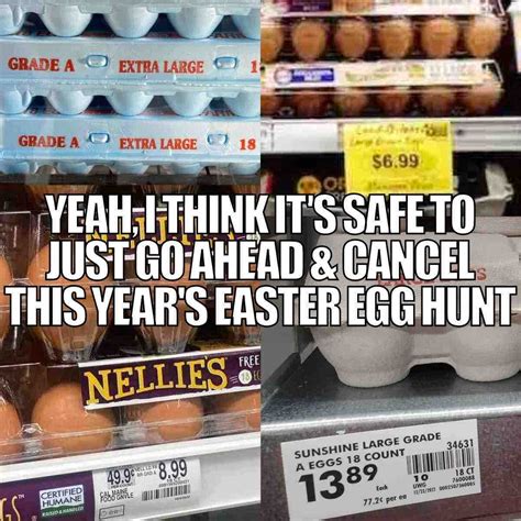 25 Funny Egg Memes About Egg Prices That Will Crack You UP!