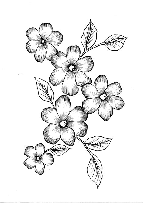 Wild Flowers PDF Coloring Page - Etsy | Easy flower drawings, Flower pattern drawing, Flower ...