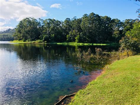 10 must do Noosa Hinterland Experiences | Noosa.com