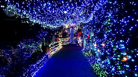 Christmas Lights - Cambria Pines Lodge 2015. Wanitoo.com | Cambria christmas market, Cambria ...