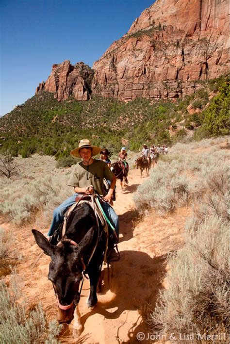 Horseback Tours of Zion National Park are truly spectacular! Book one of these rare ...