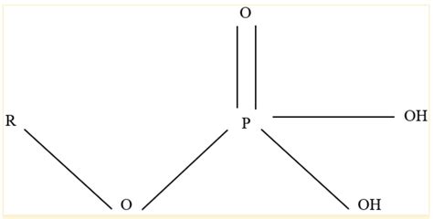 MCAT Organic Chemistry Functional Groups: What are They? – MCAT Mastery