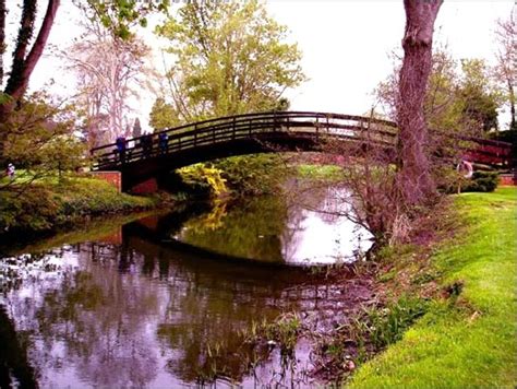 "Bridge at the Odney Club, Cookham, Berkshire" by Liz Kwantes at PicturesofEngland.com