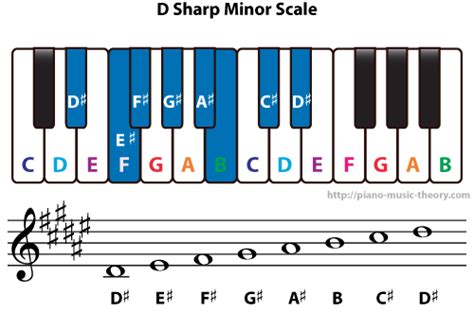 Versare sarò forte Orale d sharp major scale chiaro flotta Fruttuoso