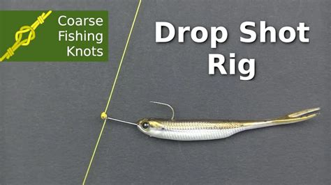 How to tie a Drop Shot Rig - Coarse Fishing Knots