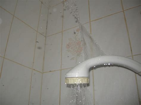 4 Tips for Repairing a Leaky Shower Faucet | EAGO Parts.Com (Recommended)