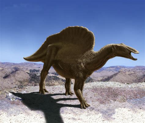 Ouranosaurus Dinosaur, images | information - Ouranosaurus Gallery