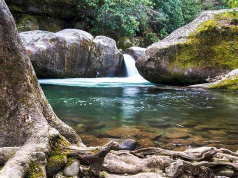 The 6 Best Great Smoky Mountains Waterfalls and Swimming Holes