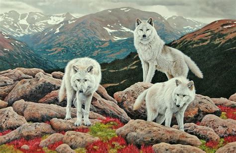 258 best Art - Wildlife - Wolves & Kin images on Pinterest