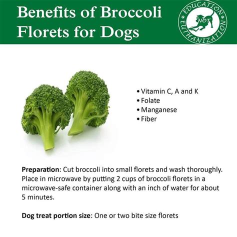 Broccoli For Dogs - Angel Vegetable