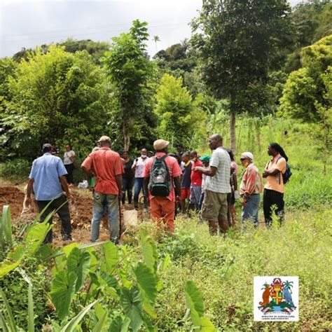 Stream FARMERS TRAINED ON BEST PRACTICES FOR YAM CULTIVATION REPORT Radio by MOALFFC GRENADA ...