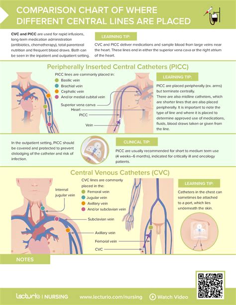 Central lines and picc - lecturio/nursing Watch Video NOTES PICC lines are commonly placed in ...