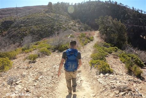 Hiking the West Rim Trail, Zion National Park Girl on a Hike