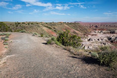 Petrified Forest National Park: Travel Guide & Itinerary – Earth Trekkers