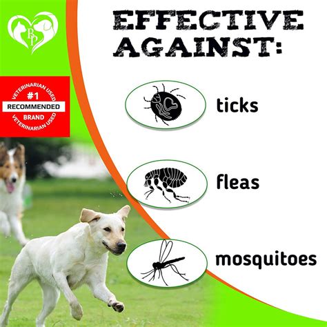 Flea and Tick Prevention Treats for Dogs - Natural - Bacon Flavor – Belovedpetsbrand