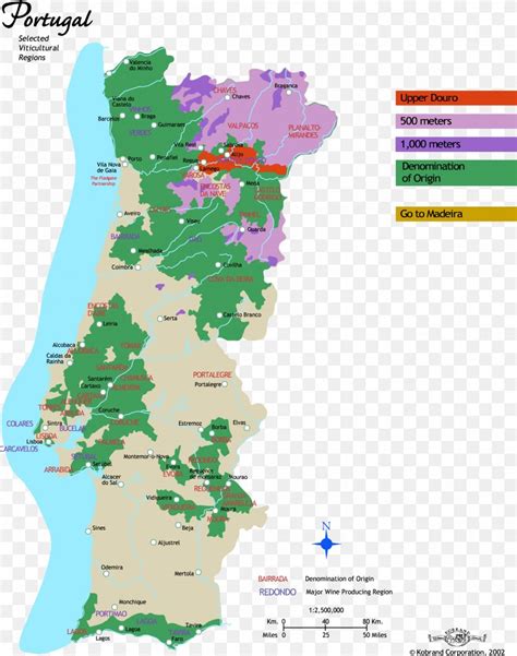 Portuguese Wine Common Grape Vine Alentejo Wine Region Map, PNG, 2486x3158px, Portuguese Wine ...