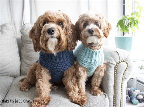 Crochet Dog Sweater Free Pattern - Maria's Blue Crayon