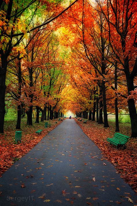 Autumn trees in park with colorful leaves | Autumn trees in … | Flickr