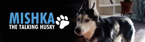 Mishka the Talking Husky | YouTube | Disney Video