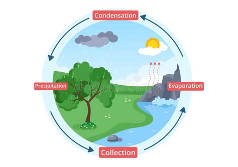 Water Cycle of Evaporation, Condensation, Precipitation To Collection in Earth Natural ...