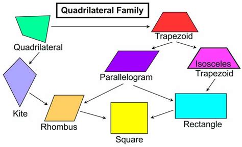 What are the Different Kinds of Quadrilateral - A Plus Topper