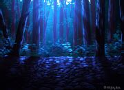 Moonlit Forest Wallpaper - The Wajas Wiki