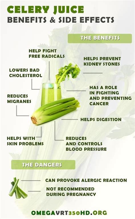 The Main Celery Juice Benefits and Side Effects