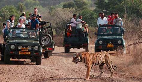 20 Enchanting National Parks in India You Must Visit - Wildlife in India