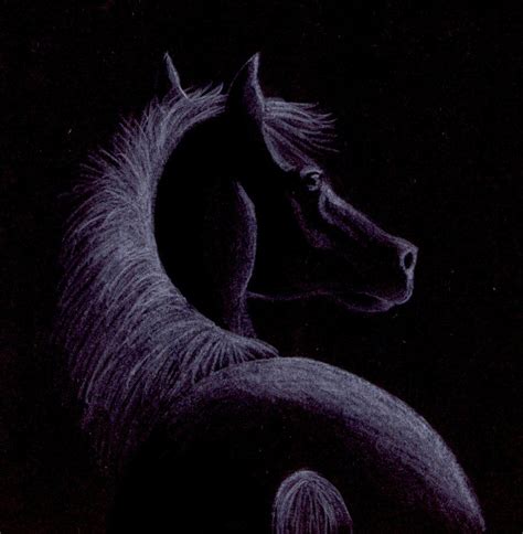 Colored Pencil On Black Paper | scetch on black paper by kittycat727 on ...