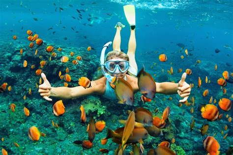 5 Best Snorkeling Beaches in Koh Samui - What is the Most Popular Koh ...