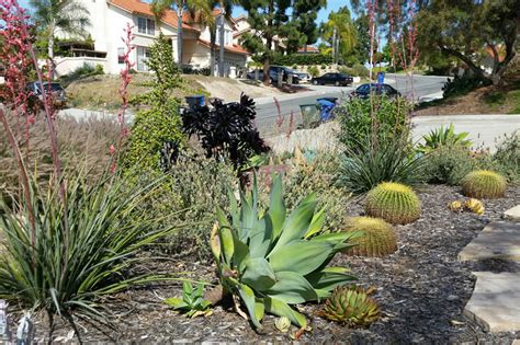 Xeriscape Plants San Diego, Water wise Landscape Gardening California