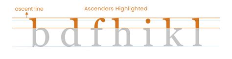 What are Ascenders and Descenders in Typography? | Envato Tuts+