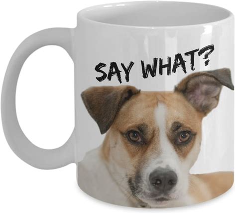 Amazon.com: Dog Meme Mugs "Say What Funny Dog Mugs" Coffee Mug With Quotes and Dog Pictures ...