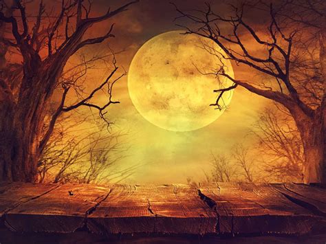 Halloween Background With Ball Moon Photography Backdrop – Shopbackdrop