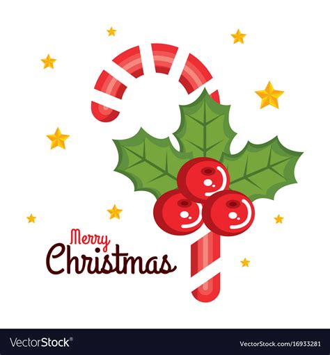 Merry christmas candy cane sweet holly berry star Vector Image