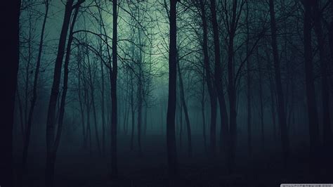 Bosque oscuro, bosque, 1366x768, oscuro, Fondo de pantalla HD | Peakpx