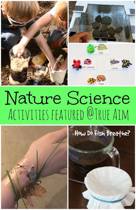 Nature Science Activities and Mom's Library #138 - True Aim | Science activities for kids ...