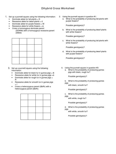 Dihybrid Cross Practice | Zygosity | Genotype