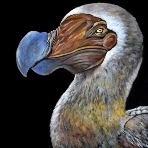 Dodo Bird Painting at PaintingValley.com | Explore collection of Dodo ...