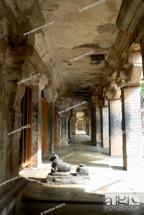 Inside Structure and Statue of Nandin or Bull In Brihadeshwara Temple ...