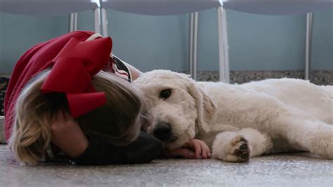 Netflix’s ‘Dogs’ Is the Heartwarming, Feel-Good TV Series of the Year